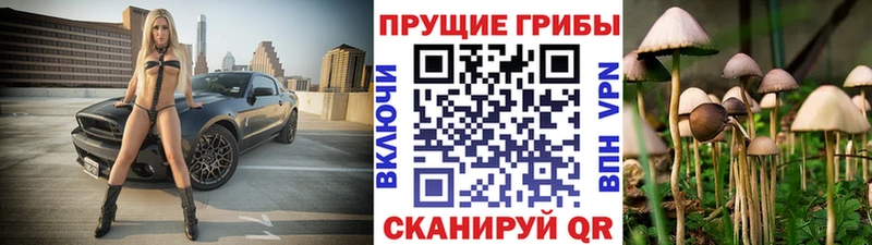 Галлюциногенные грибы Cubensis  где найти   Крымск 